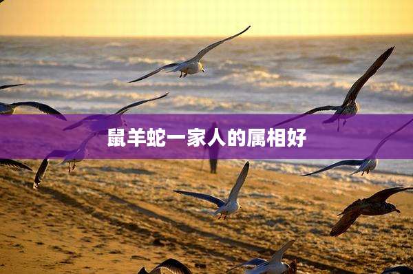 鼠羊蛇一家人的属相好