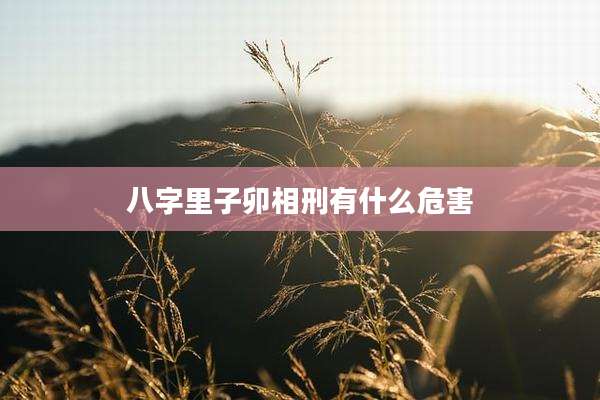 八字里子卯相刑有什么危害