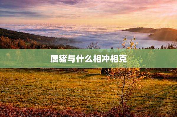 属猪与什么相冲相克