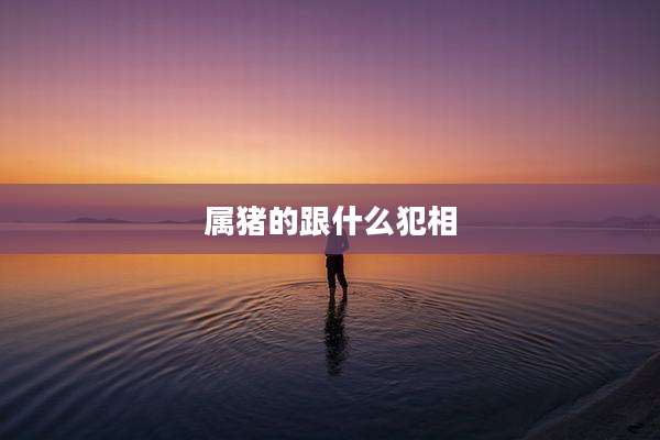 属猪的跟什么犯相