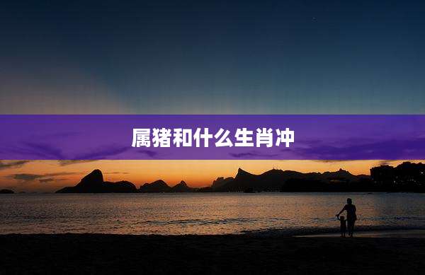 属猪和什么生肖冲