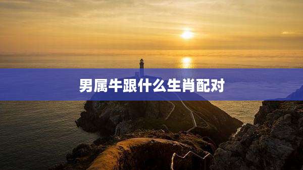 男属牛跟什么生肖配对