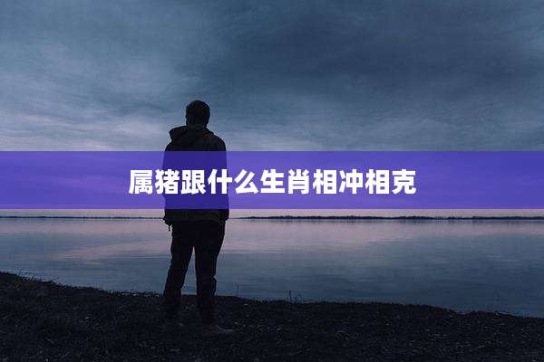 属猪跟什么生肖相冲相克