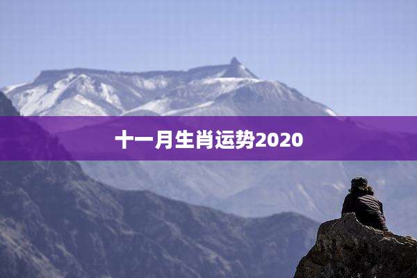 十一月生肖运势2020