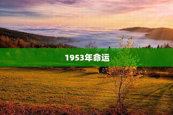 1953年命运