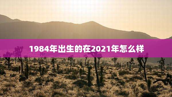 1984年出生的在2021年怎么样