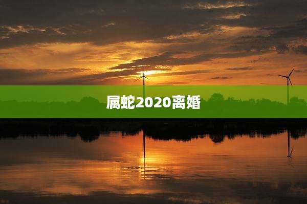 属蛇2020离婚