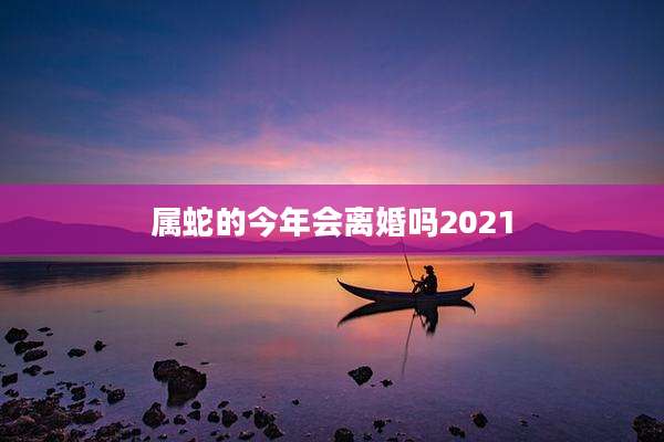 属蛇的今年会离婚吗2021