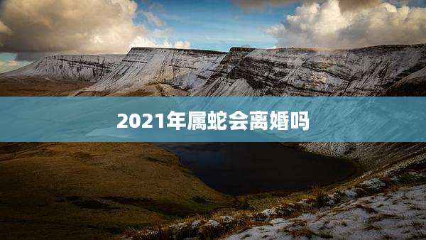 2021年属蛇会离婚吗