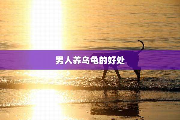 男人养乌龟的好处