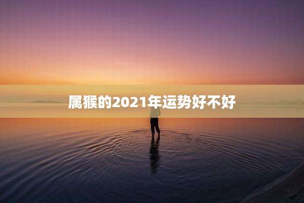 属猴的2021年运势好不好
