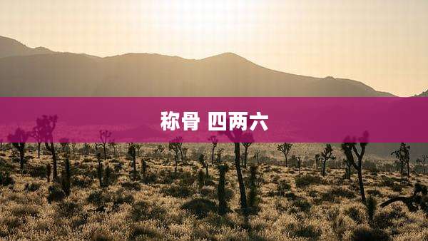 称骨 四两六