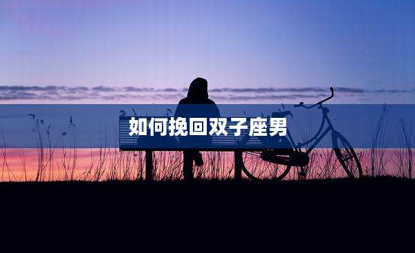 如何挽回双子座男