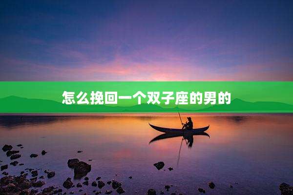 怎么挽回一个双子座的男的