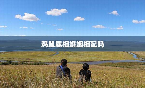 鸡鼠属相婚姻相配吗