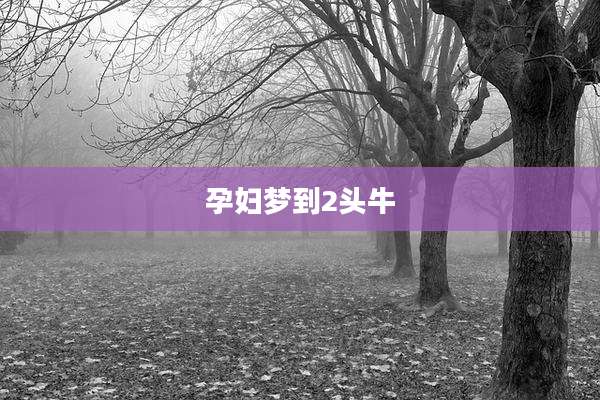 孕妇梦到2头牛