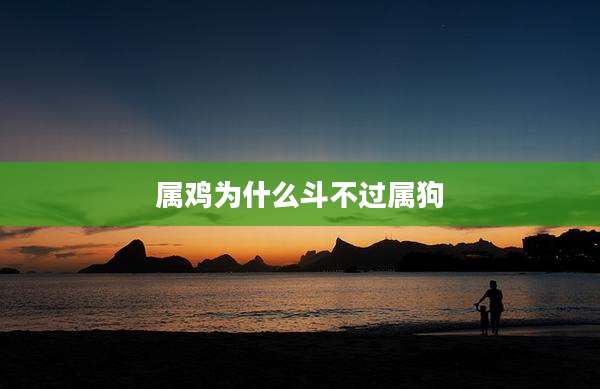 属鸡为什么斗不过属狗