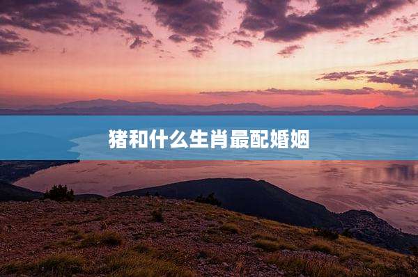 猪和什么生肖最配婚姻
