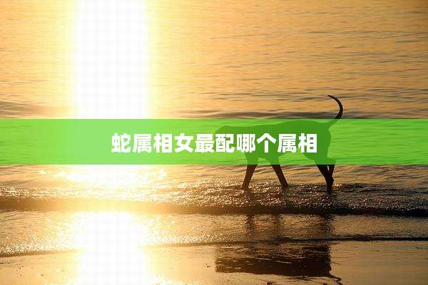 蛇属相女最配哪个属相