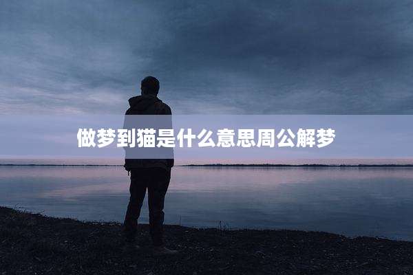 做梦到猫是什么意思周公解梦