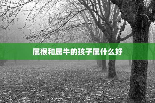 属猴和属牛的孩子属什么好