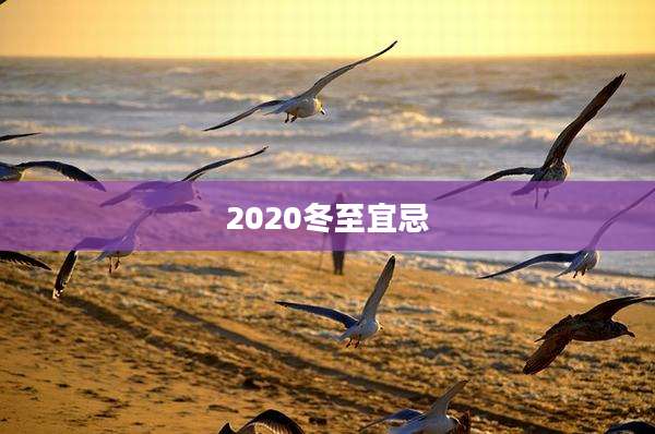 2020冬至宜忌