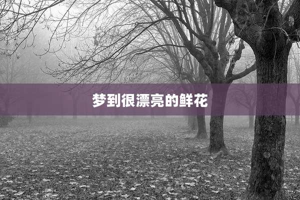 梦到很漂亮的鲜花