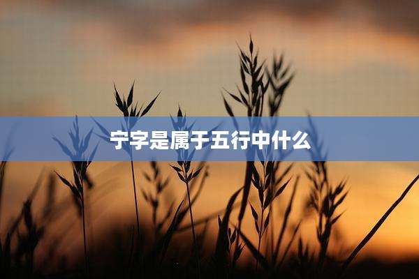 宁字是属于五行中什么