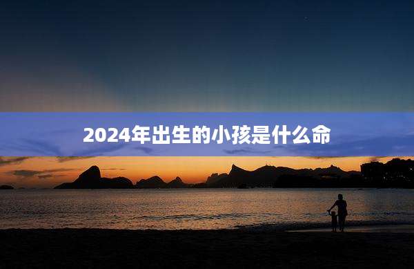 2024年出生的小孩是什么命