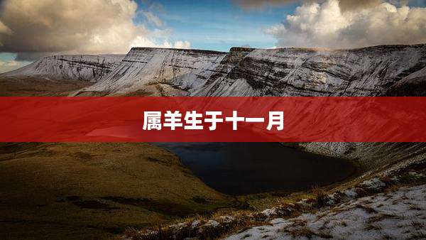 属羊生于十一月