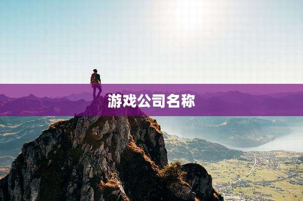 游戏公司名称