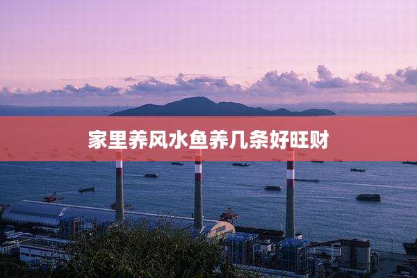 家里养风水鱼养几条好旺财