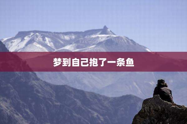 梦到自己抱了一条鱼