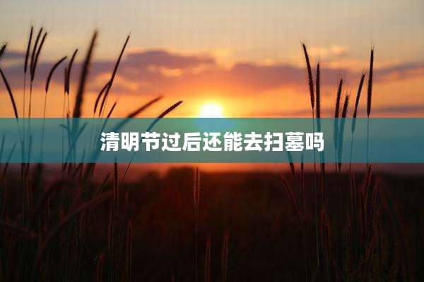 清明节过后还能去扫墓吗