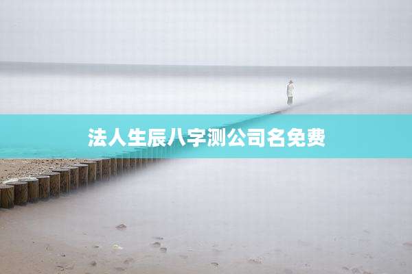 法人生辰八字测公司名免费