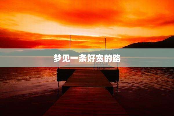 梦见一条好宽的路