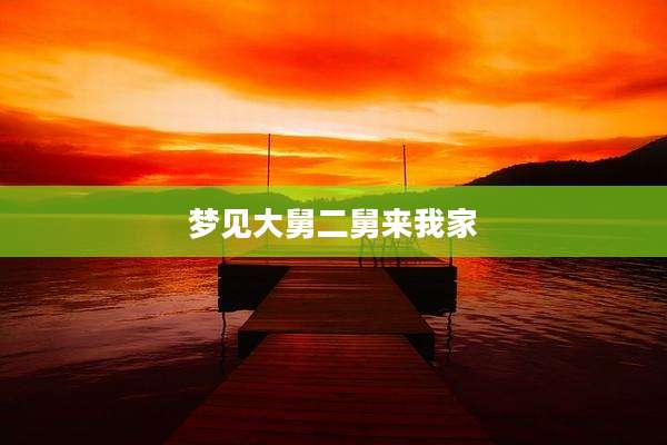 梦见大舅二舅来我家