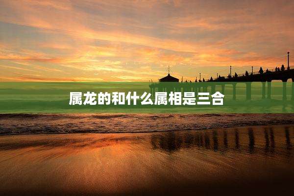 属龙的和什么属相是三合