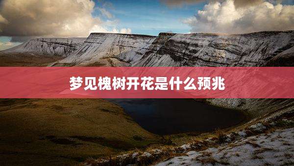梦见槐树开花是什么预兆