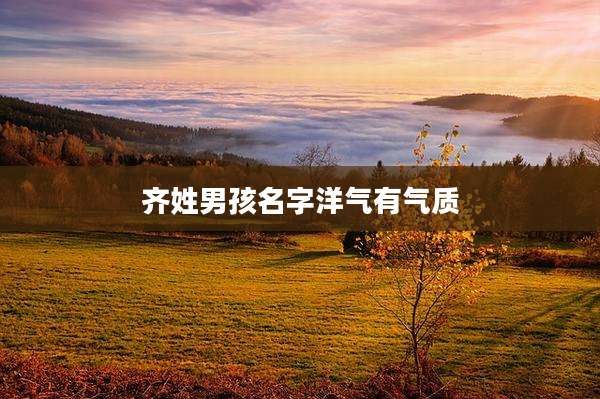 齐姓男孩名字洋气有气质
