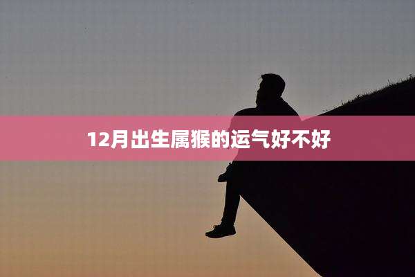 12月出生属猴的运气好不好