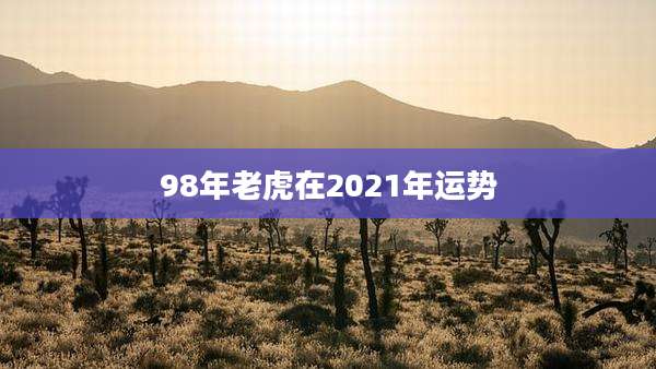 98年老虎在2021年运势