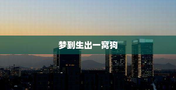 梦到生出一窝狗