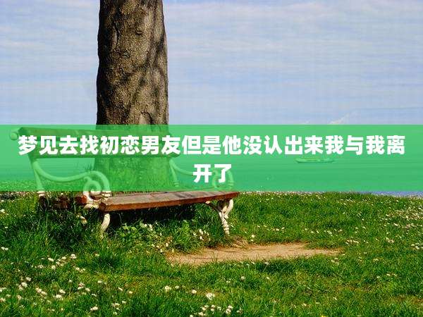 梦见去找初恋男友但是他没认出来我与我离开了