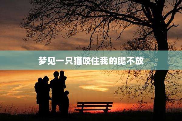 梦见一只猫咬住我的腿不放