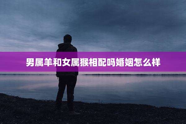男属羊和女属猴相配吗婚姻怎么样