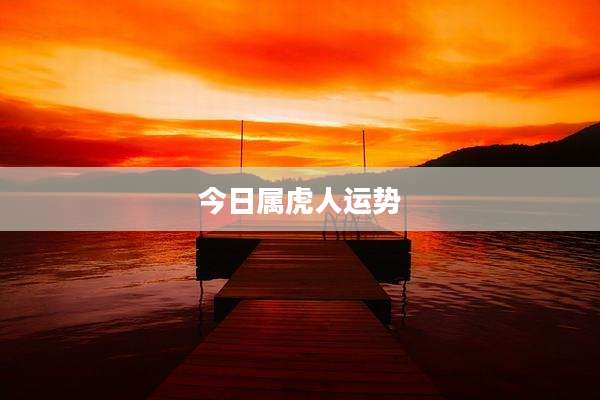 今日属虎人运势