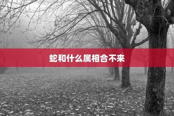 蛇和什么属相合不来