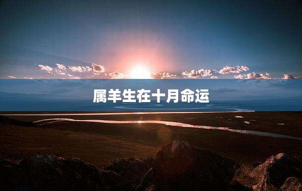 属羊生在十月命运