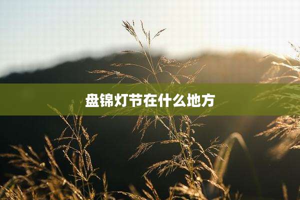 盘锦灯节在什么地方